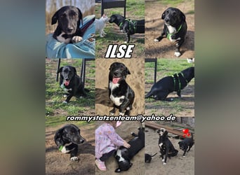 Ilse hat ein zauberhaftes, liebes Wesen