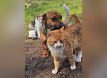 Poldine ist freundlich und aufgeweckt