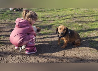 Bea bringt viel Persönlichkeit mit