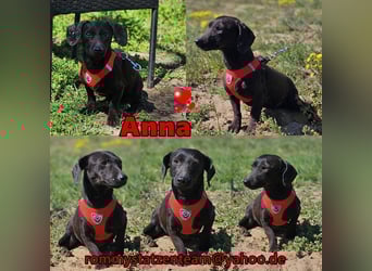 Anna zeigt ein gutes Sozialverhalten