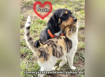 Gerda - ihre Lernbereitschaft ist groß