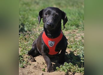 Anna zeigt ein gutes Sozialverhalten