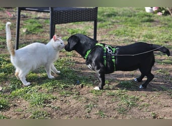 Ilse hat ein zauberhaftes, liebes Wesen