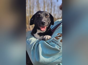 Ilse hat ein zauberhaftes, liebes Wesen