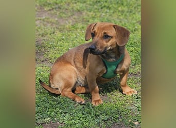 Poldine ist freundlich und aufgeweckt