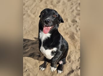 Ilse hat ein zauberhaftes, liebes Wesen