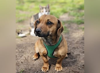 Poldine ist freundlich und aufgeweckt