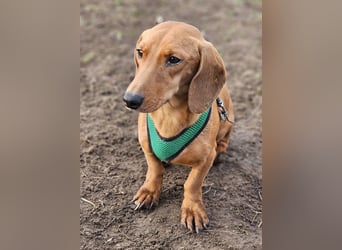 Eddi hat ein freundliches Wesen