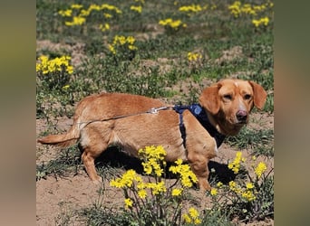 Kuno - lernfreudig und voller Energie