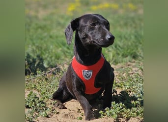 Anna zeigt ein gutes Sozialverhalten