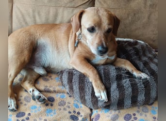 Albu - bereits in Deutschland auf PS