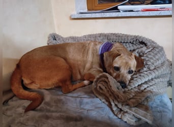 Albu - bereits in Deutschland auf PS