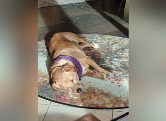 Albu - bereits in Deutschland auf PS