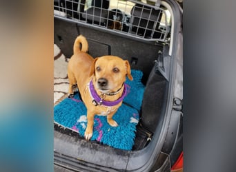 Albu - bereits in Deutschland auf PS