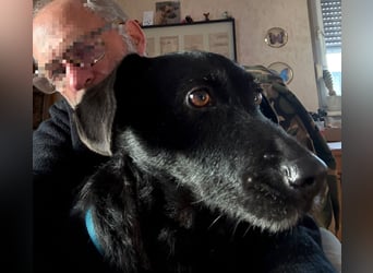 Tonkica ein absoluter Schatz