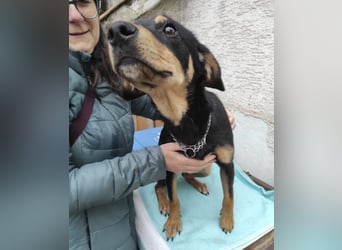 Liam ein absoluter Schatz