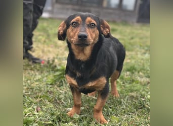 Tilly ein winziges Mädchen