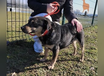Lunjo ein richtiger Schmuser