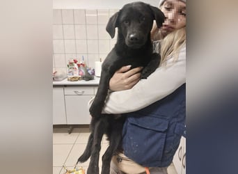 Niko ein schüchterner Schatz