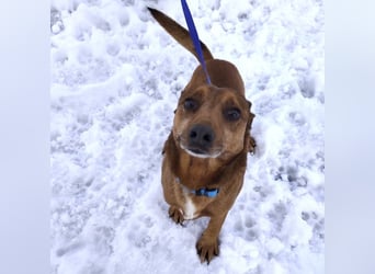 Moon ein super freundlicher Hundebub