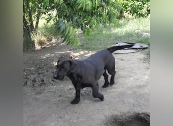 Greta wartet schon sehr lange
