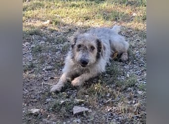 Chilly ein winziger Schatz