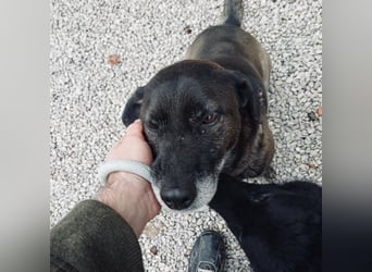 Nutella braucht ein Zuhause