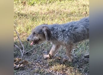 Chilly ein winziger Schatz