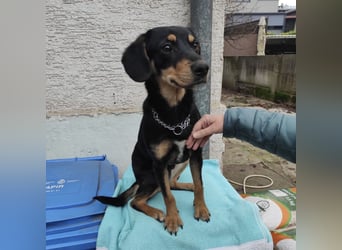 Liam ein absoluter Schatz