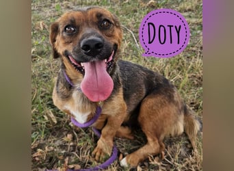 Doty eine winzige Prinzessin