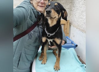 Liam ein absoluter Schatz