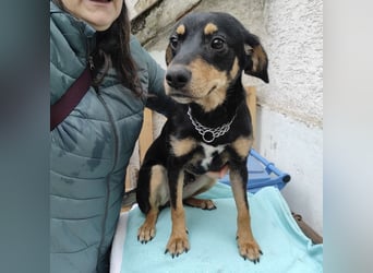 Liam ein absoluter Schatz