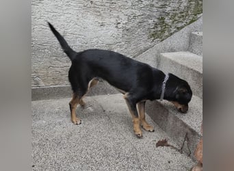 Liam ein absoluter Schatz