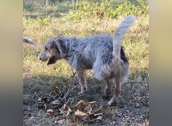 Chilly ein winziger Schatz