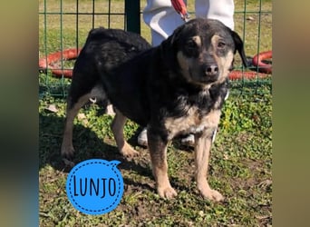 Lunjo ein richtiger Schmuser