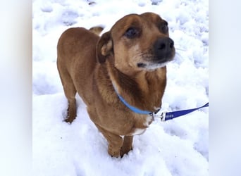 Moon ein super freundlicher Hundebub