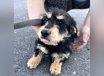 Pepy ein kleiner Schatz