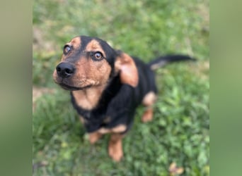 Tilly ein winziges Mädchen