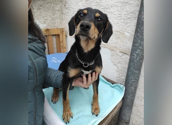 Liam ein absoluter Schatz