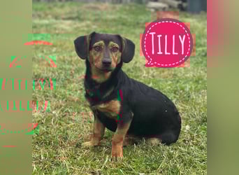 Tilly ein winziges Mädchen