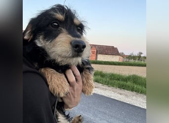 Pepy ein kleiner Schatz