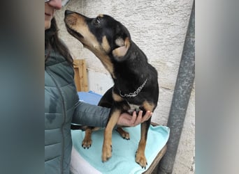 Liam ein absoluter Schatz