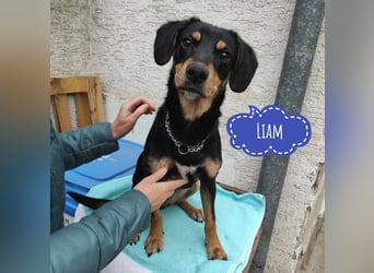 Liam ein absoluter Schatz