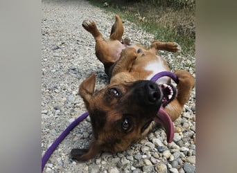 Doty eine winzige Prinzessin