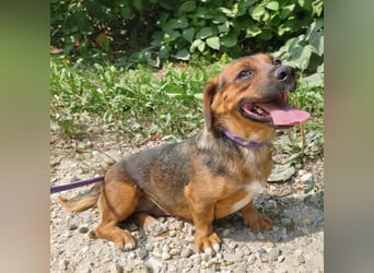 Doty eine winzige Prinzessin