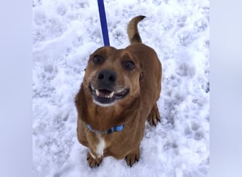 Moon ein super freundlicher Hundebub