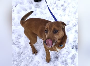 Moon ein super freundlicher Hundebub