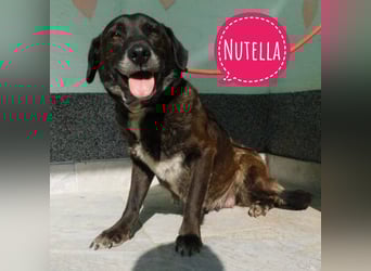 Nutella braucht ein Zuhause