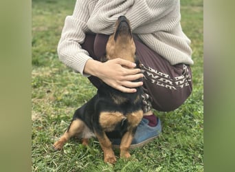 Tilly ein winziges Mädchen