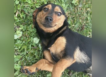 Tilly ein winziges Mädchen